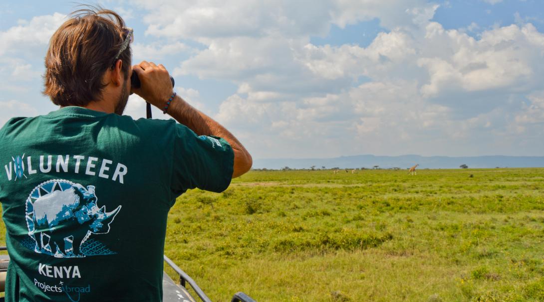 Wildlife Volunteering in Africa Projects Abroad US